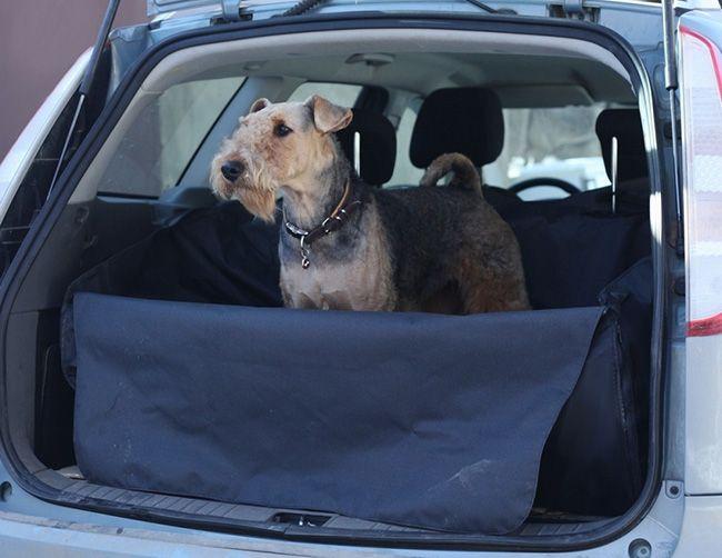 Как защитить салон автомобиля от собаки?
